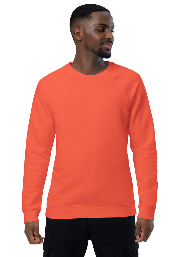Unisex Organic Raglan Sweatshirt | SOL'S 03567
