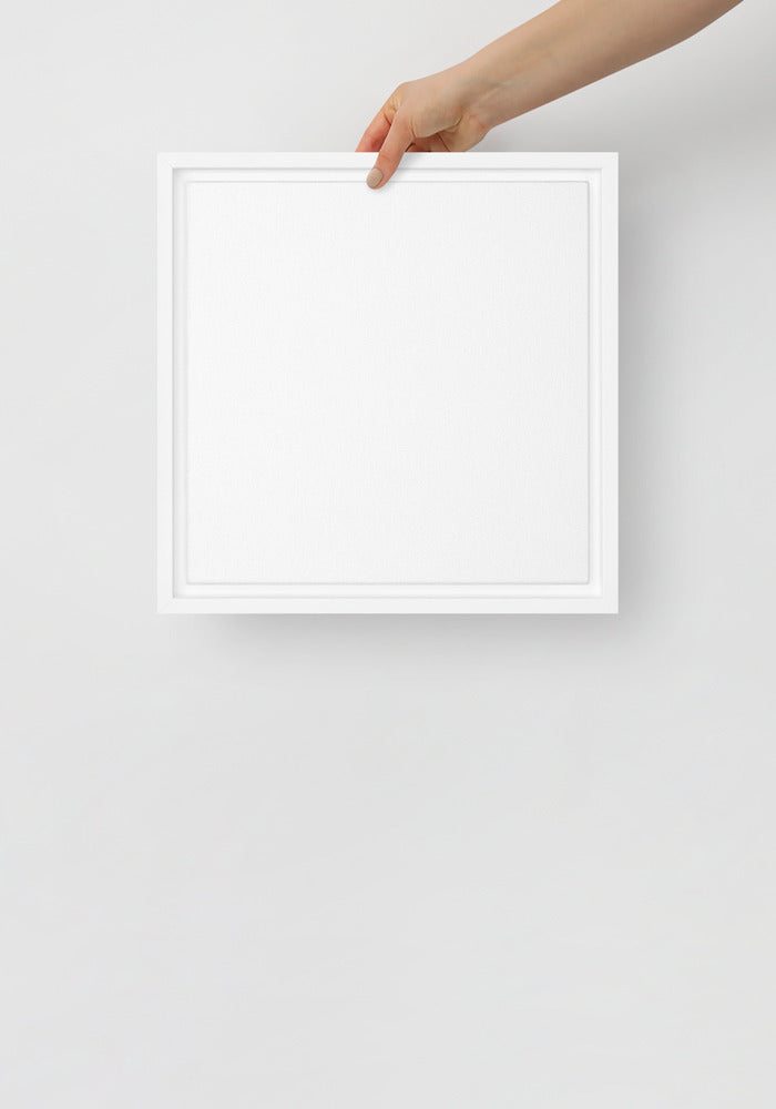 Framed Canvas