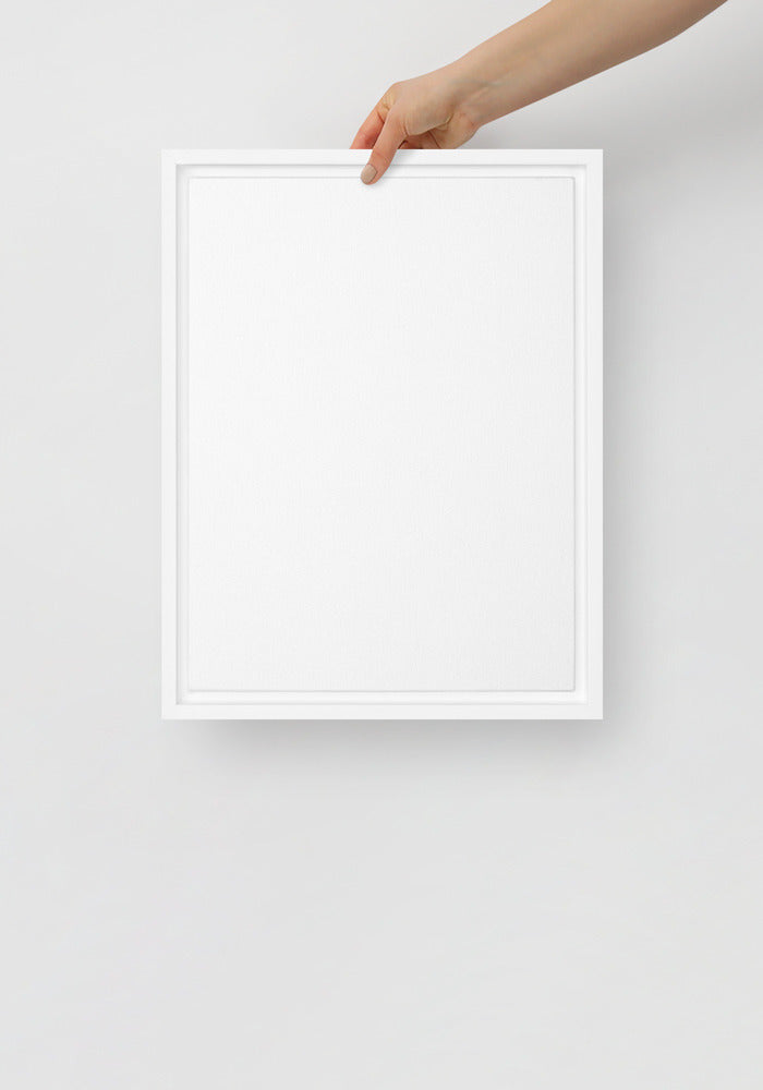Framed Canvas