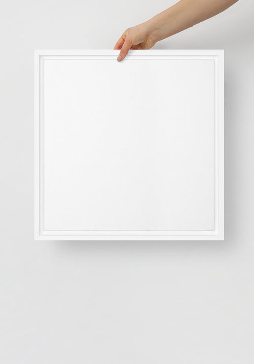 Framed Canvas