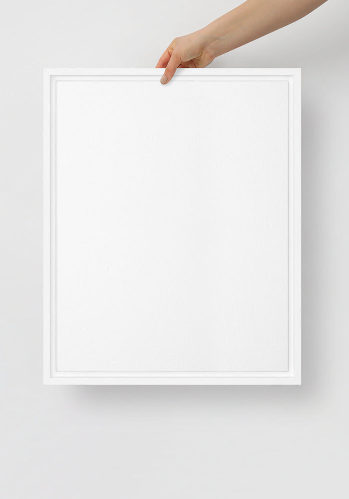 Framed Canvas