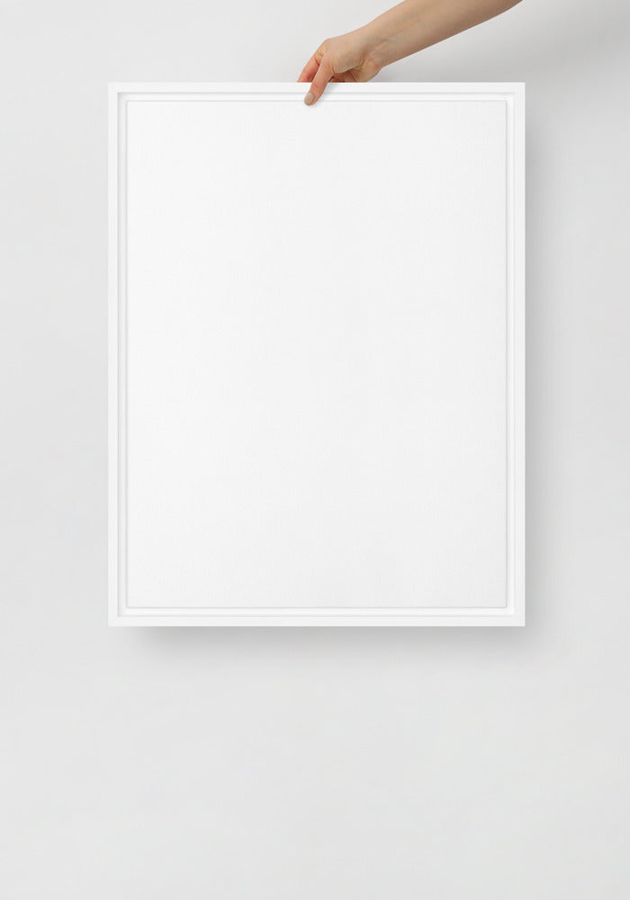Framed Canvas