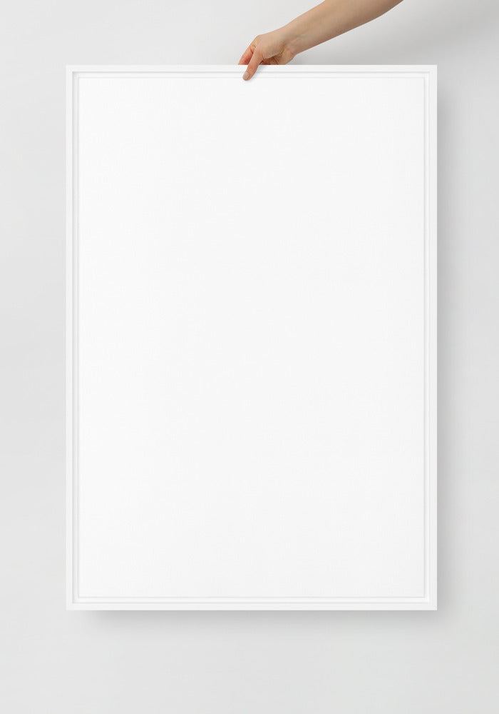 Framed Canvas