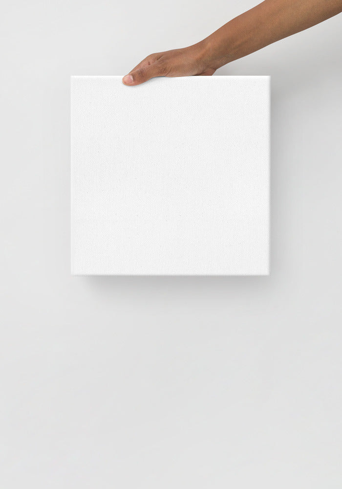 Thin Canvas