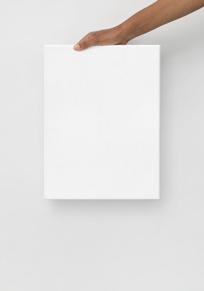 Thin Canvas