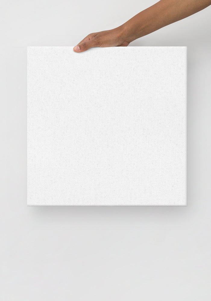 Thin Canvas