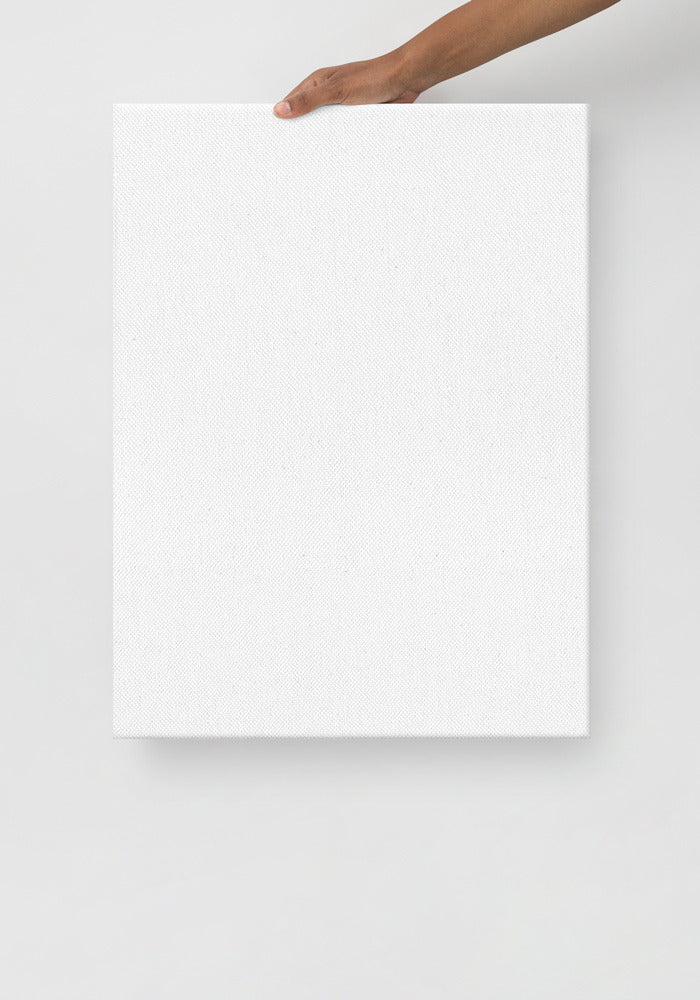 Thin Canvas