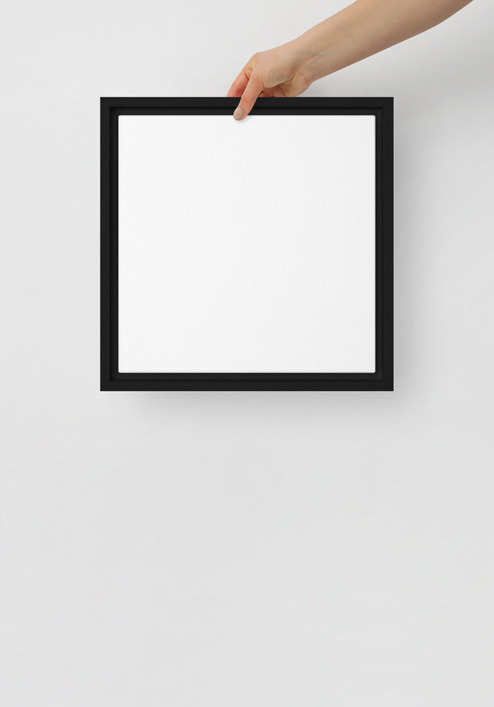 Framed Canvas
