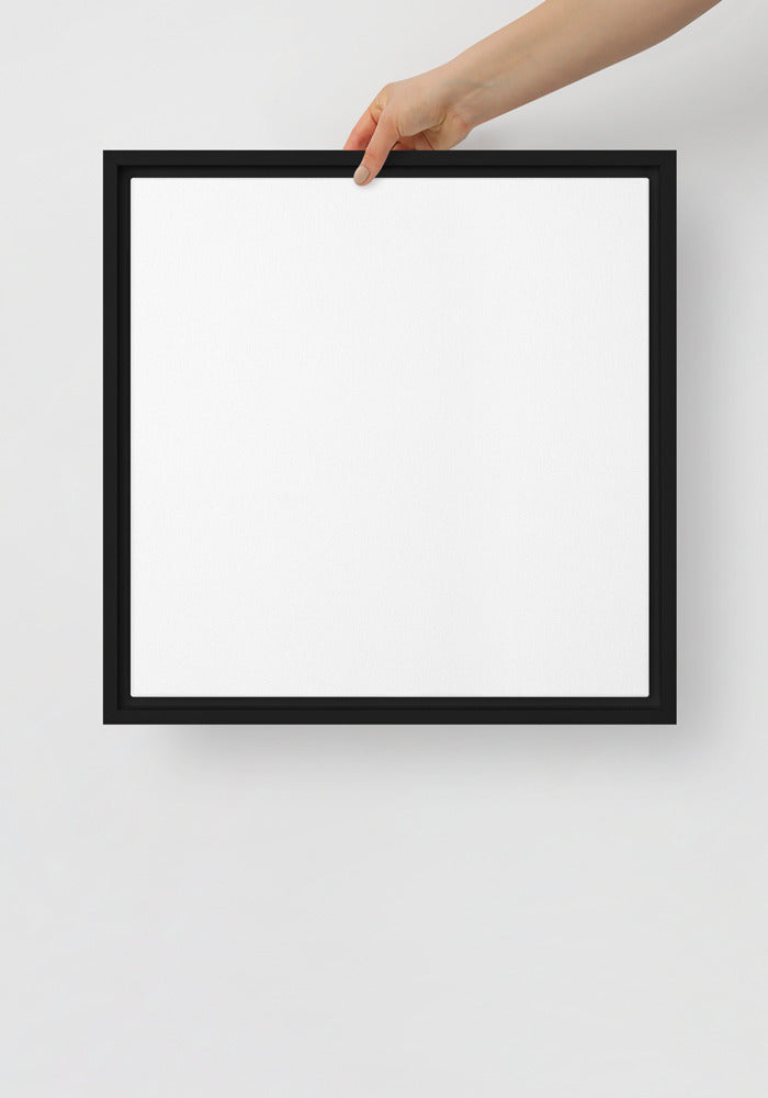Framed Canvas