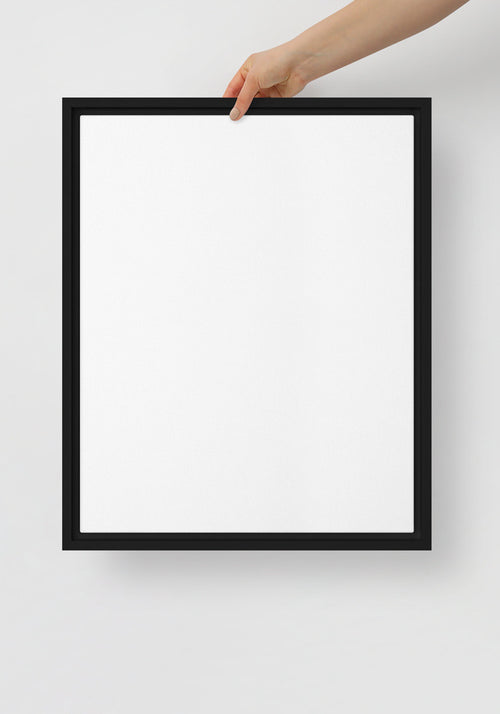 Framed Canvas