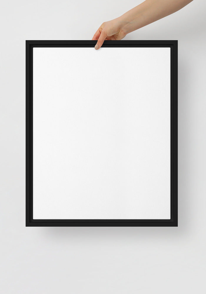 Framed Canvas