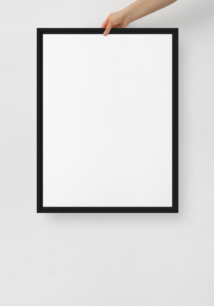 Framed Canvas