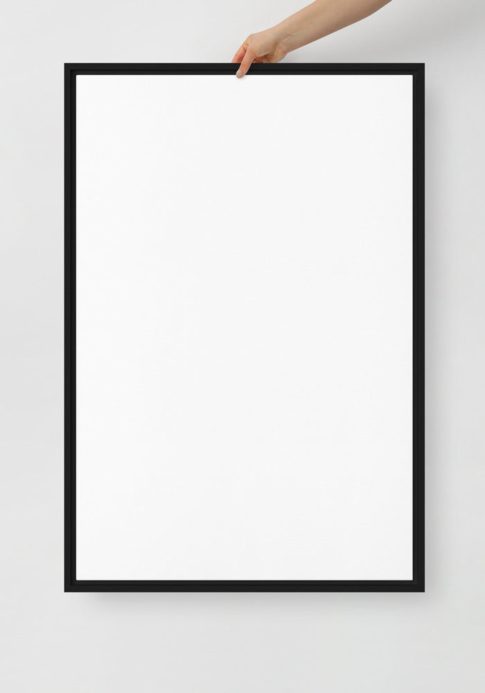 Framed Canvas