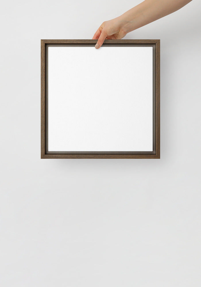 Framed Canvas