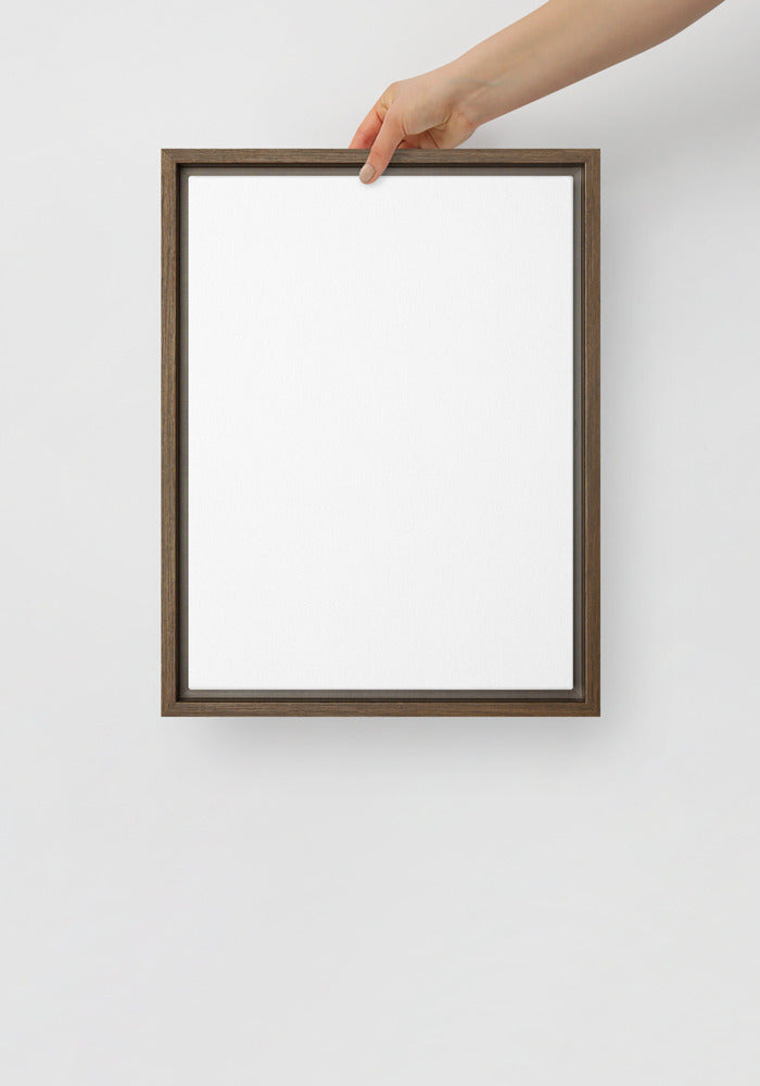 Framed Canvas