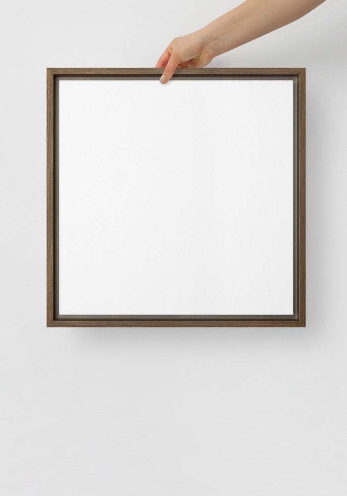 Framed Canvas