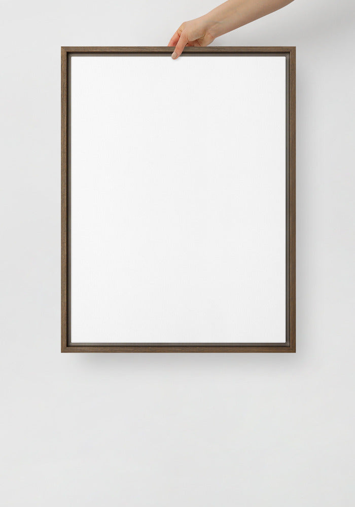 Framed Canvas