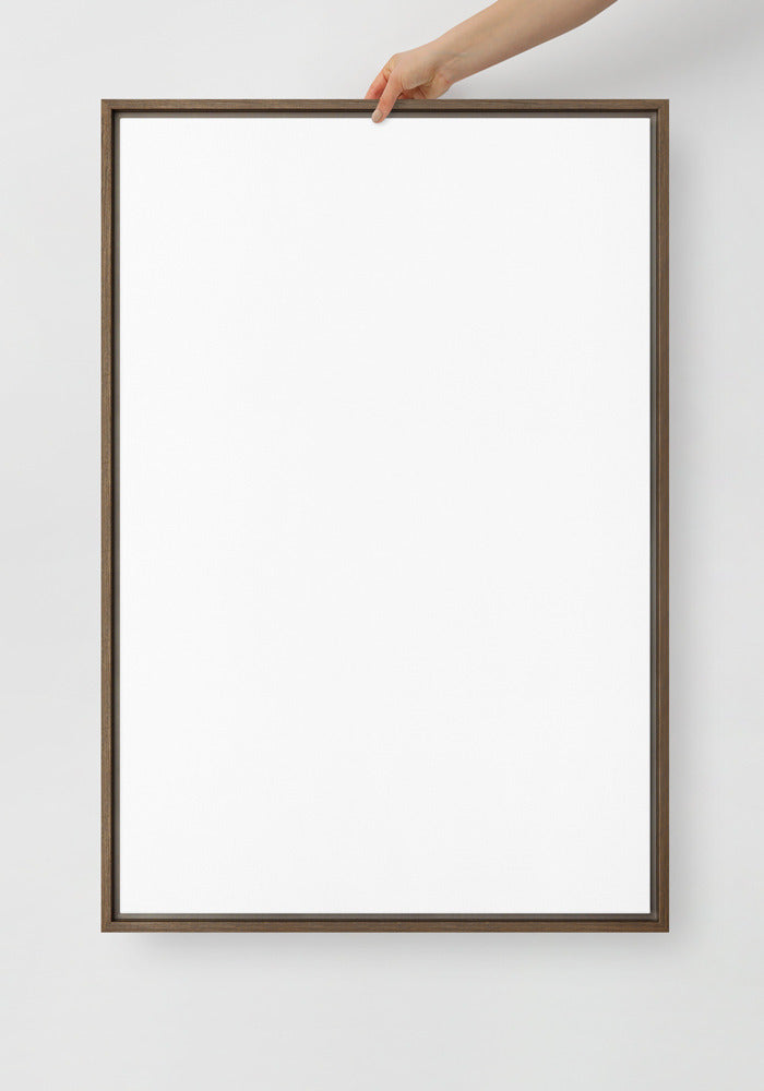 Framed Canvas