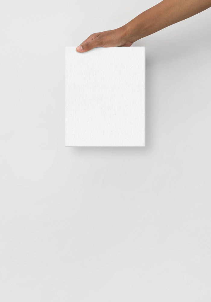 Thin Canvas