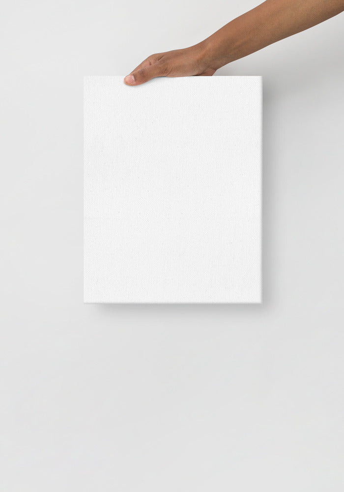 Thin Canvas