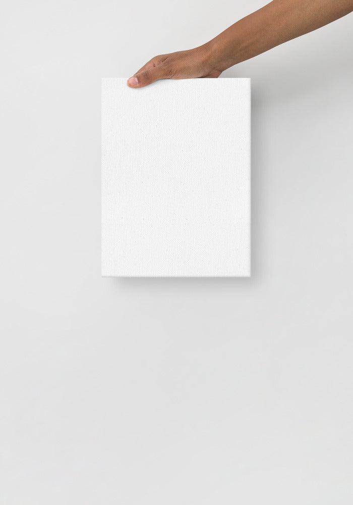 Thin Canvas