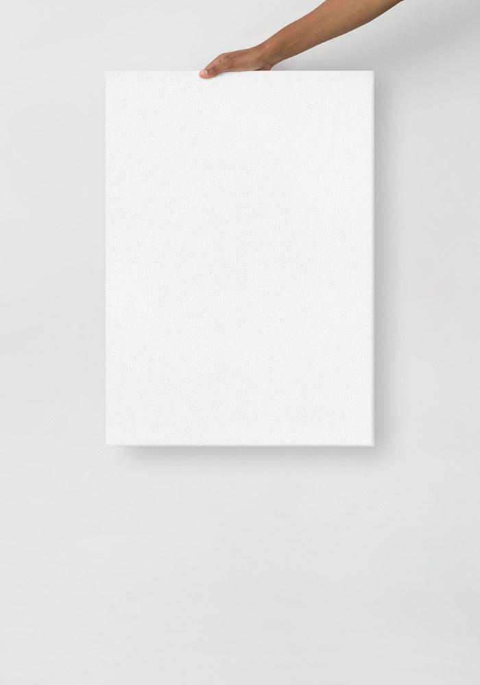 Thin Canvas
