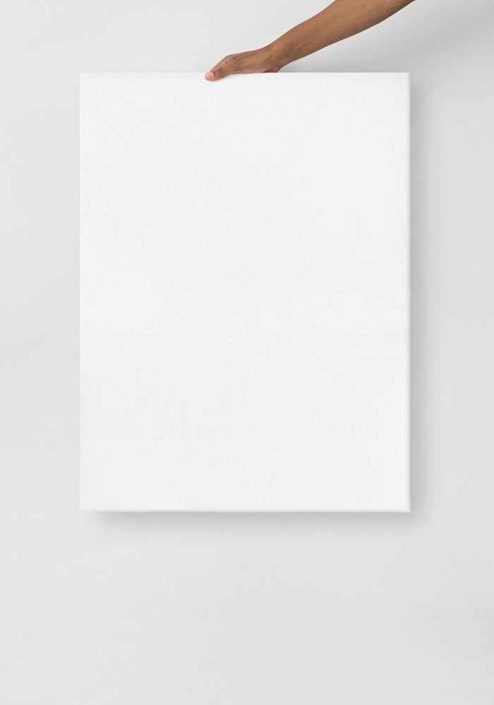 Thin Canvas