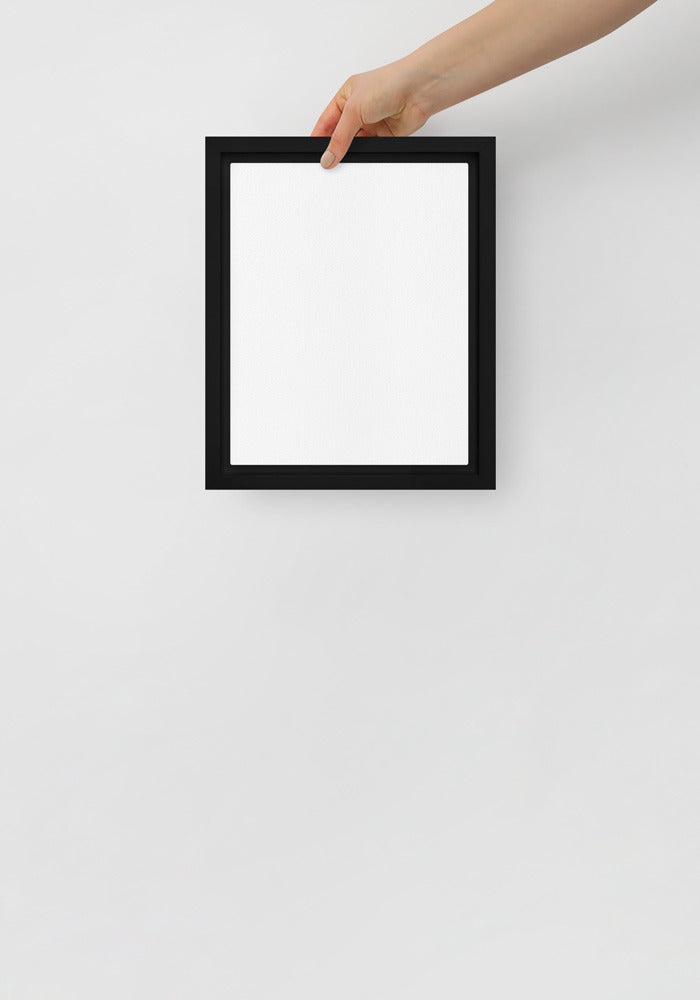 Framed Canvas