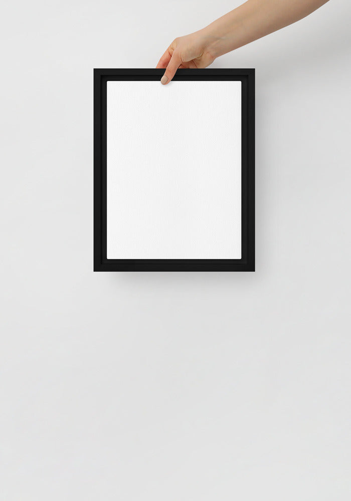 Framed Canvas