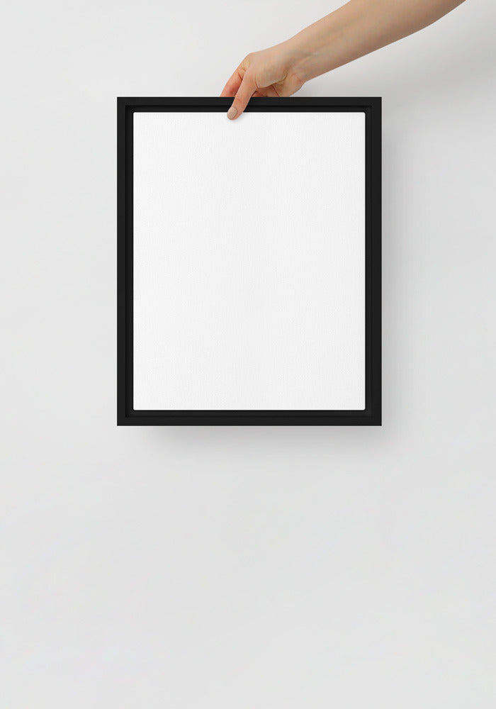 Framed Canvas