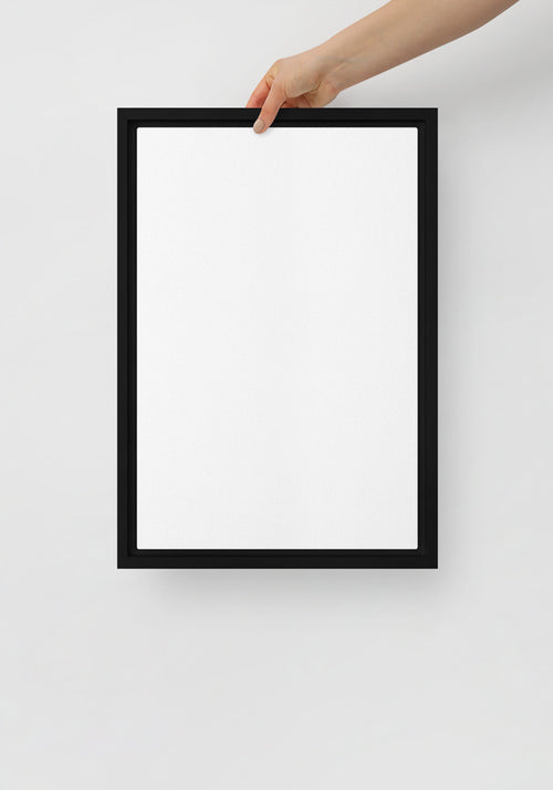 Framed Canvas