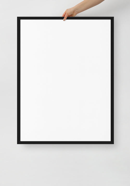 Framed Canvas