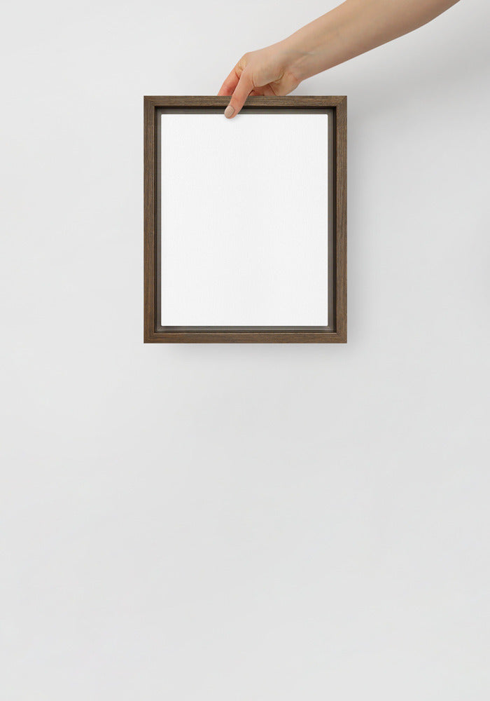 Framed Canvas