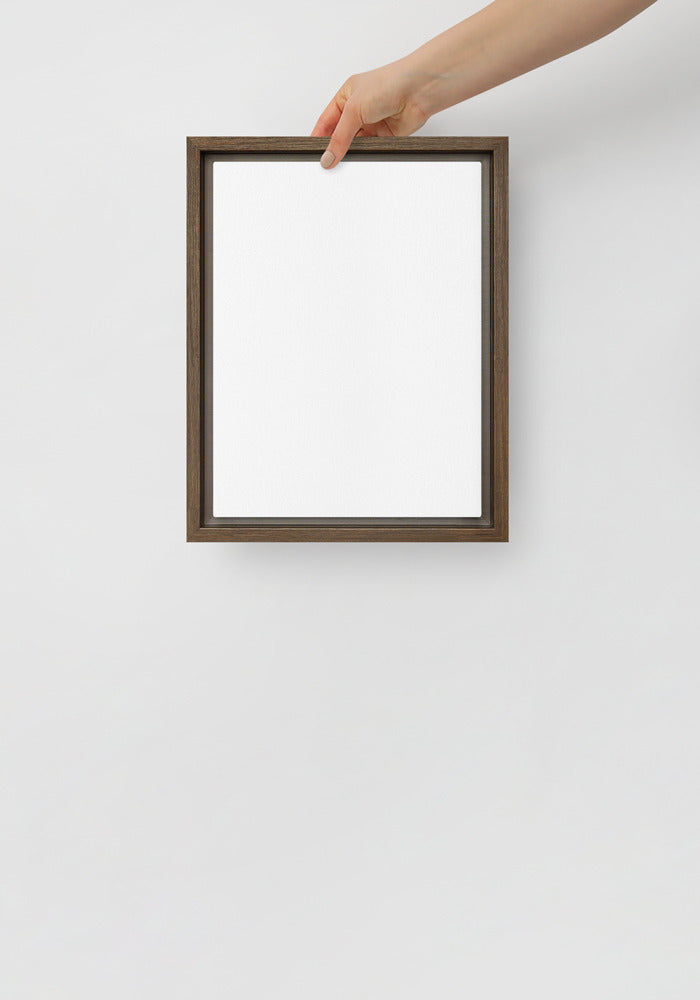 Framed Canvas