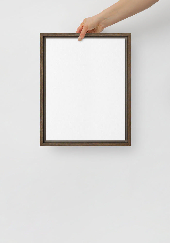 Framed Canvas