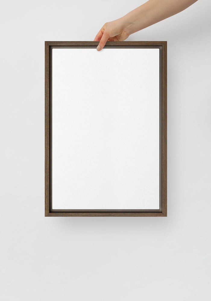 Framed Canvas