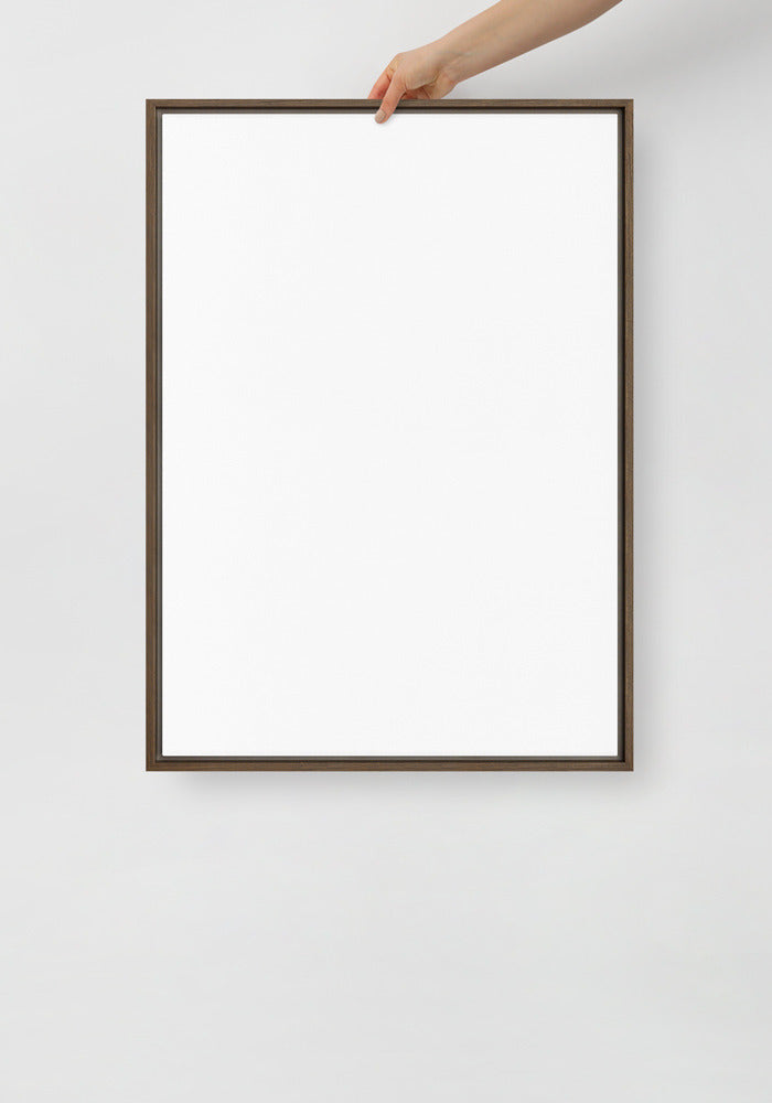 Framed Canvas