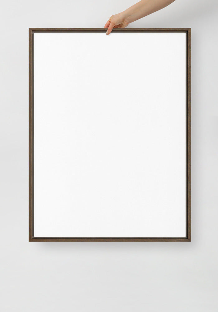 Framed Canvas