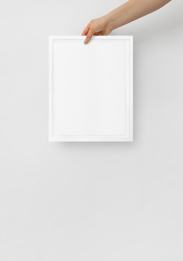 Framed Canvas
