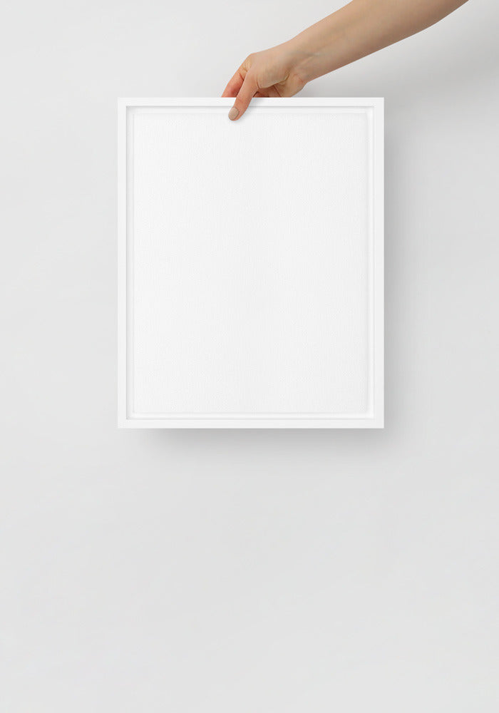 Framed Canvas