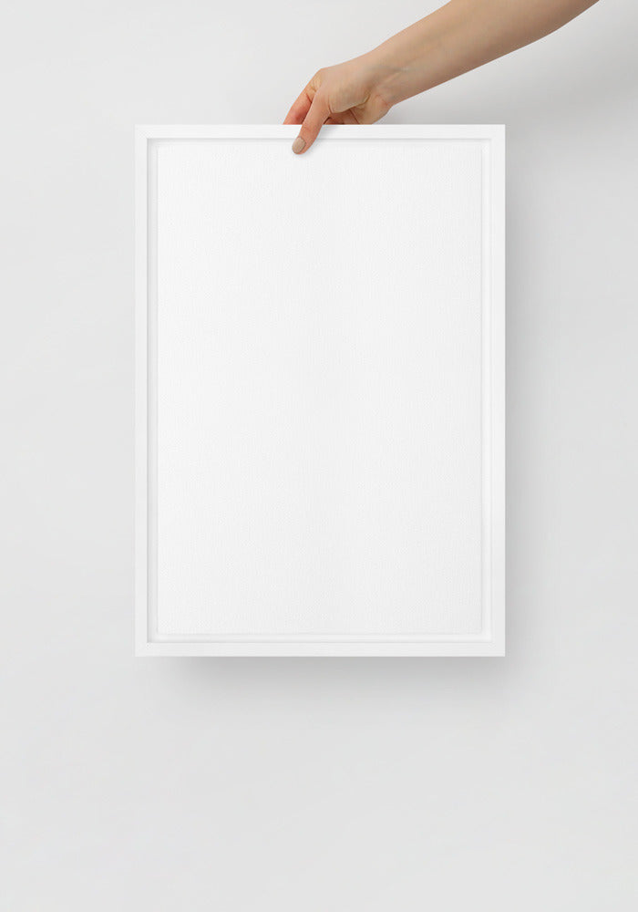 Framed Canvas