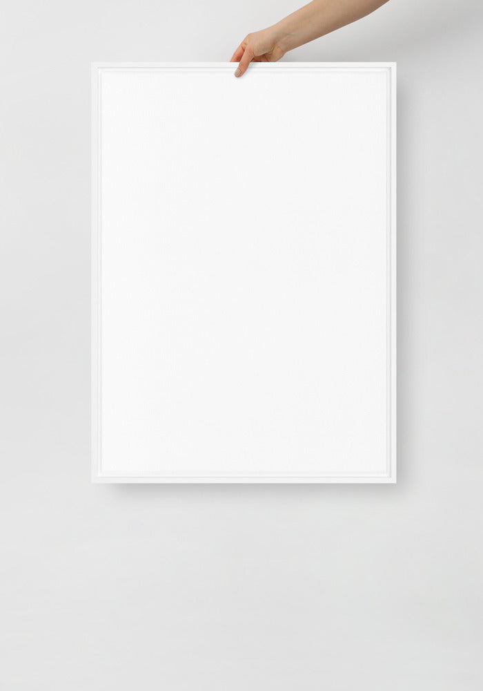 Framed Canvas