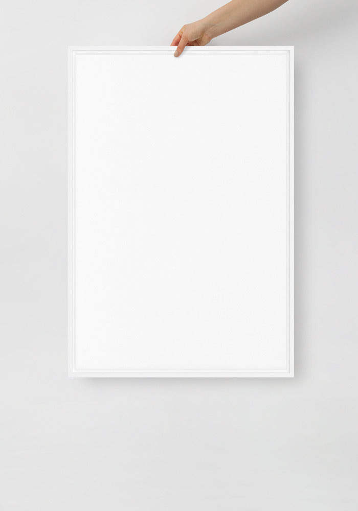 Framed Canvas