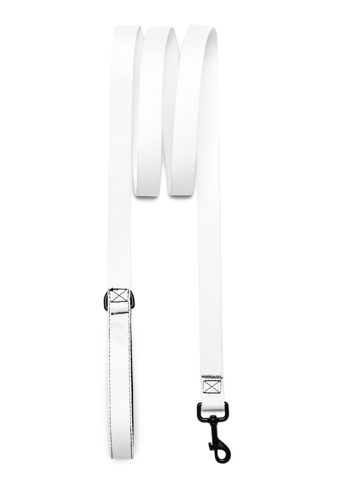 Pet Leash