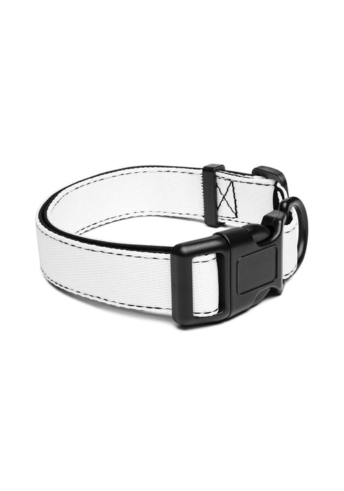 Pet Collar