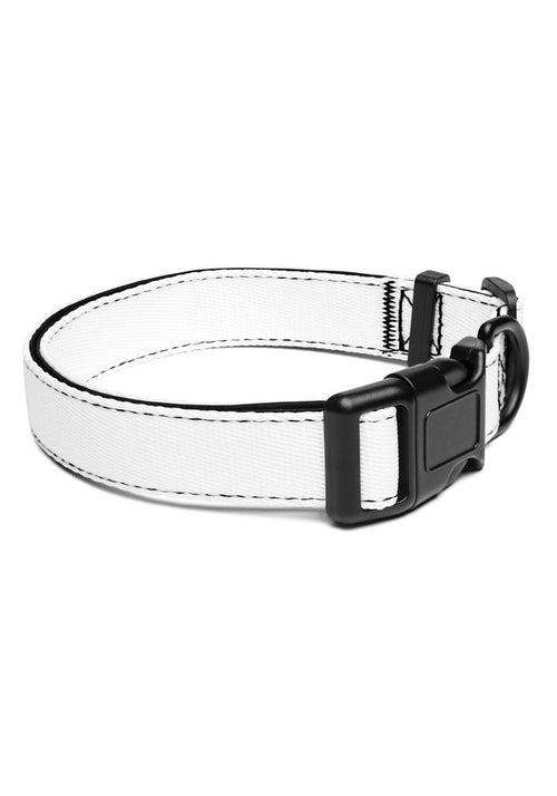 Pet Collar