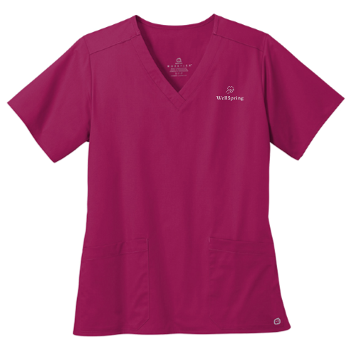 OasisSeniorAdvisors - WonderWink Women's WorkFlex V-Neck Top v1
