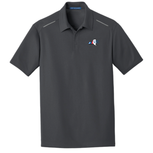 GVCBMWCCA - Port Authority Men's Pinpoint Mesh Polo v1