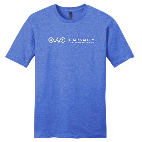 CedarValley - District Young Men's Very Important Tee