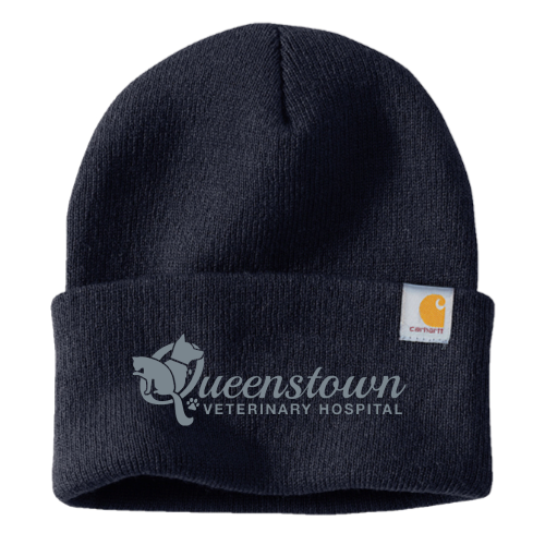 QueenstownVet - Carhartt Watch Cap 2.0 CT104597